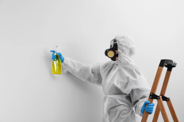 Best Mold Prevention Services  in Albany, WI