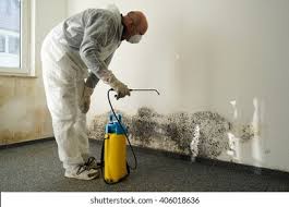 Best Biohazard Mold Removal  in Albany, WI